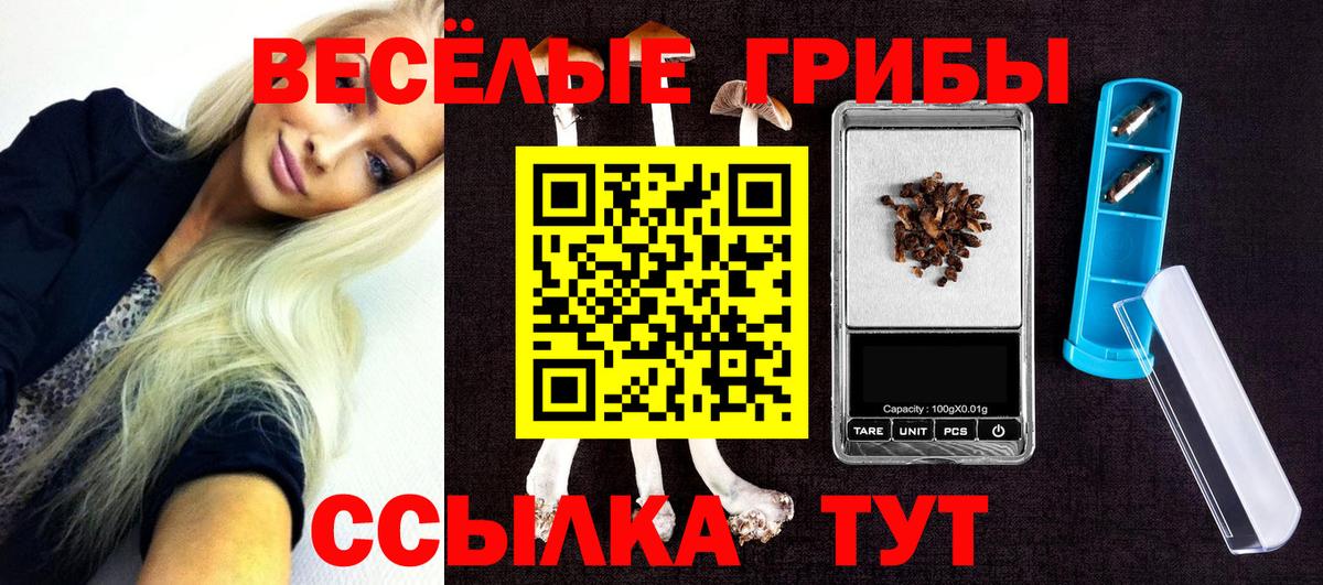 Галлюциногенные грибы Psilocybe Дюртюли