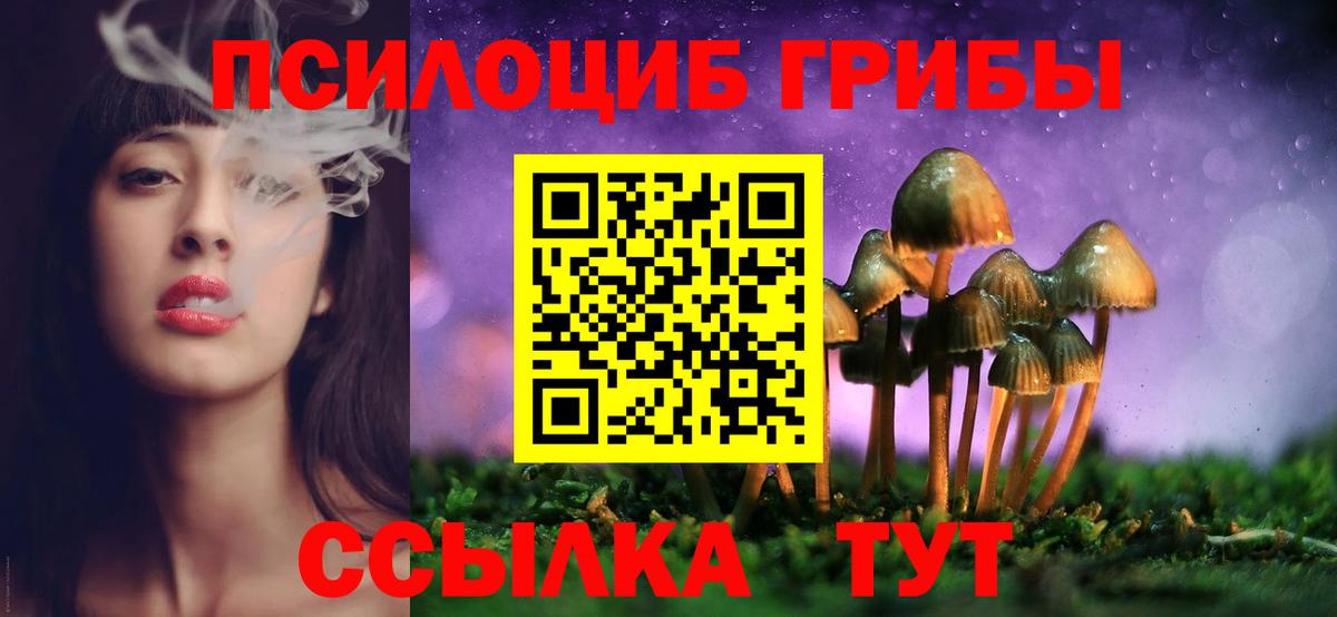 Псилоцибиновые грибы GOLDEN TEACHER  Псилоцибиновые грибы Magic Shrooms  Дюртюли  Вход с VPN 